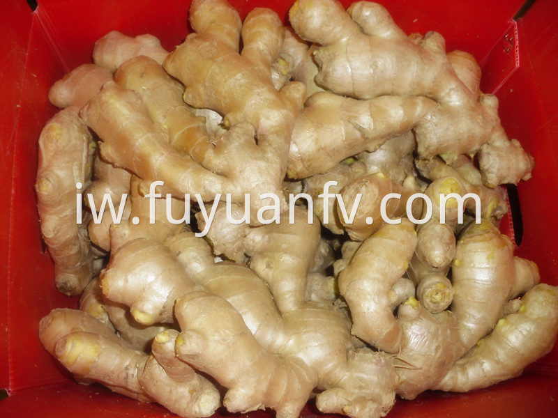 air dried ginger